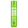 Lemon Lime - Organic Lip Balms